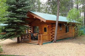 Silverwolf Log Coram